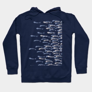 Anatomy Of A Fish - the whole school Hoodie